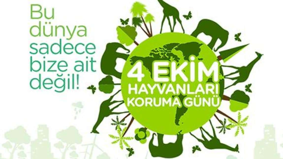 Hayvanları Koruma Günü Etkinliklerimiz